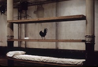 Bill Beckley, “Rooster Bed Lying,” 1971. Live rooster, pillow, sheet, wire caging.