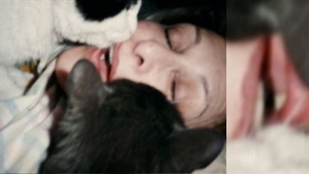 Still from Carolee Schneemann, <i>Infinity Kisses</i> (2008). 9:05 minutes, color, sound. Courtesy of the artist.