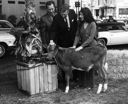 Bonnie Sherk: Portable Park II, 1970; performance documentation: Sherk with Caltrans officials and cows at the Highway 101 Mission/Van Ness off-ramp, San Francisco; courtesy of the artist.