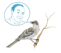 Charlie Parker and a Mockingbird. Illustration by Megan Piontkowski.