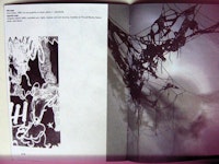 “Photograph (with light leak) of pages 14 & 15, <em>Sheila Pepe: Josephine</em>, Thread Waxing Space; essay by Lia Gangitano, 2000. (page caption: this page: <em>from Schad</em>, 1999, ink and graphite on paper; photo: L. Deschenes / opposite page: Josephine (detail), 2000, crocheted yarn, lights, shadow and wall drawing, installed at Thread Waxing Space; photo: John Berens),” 2014. Courtesy the artist.
