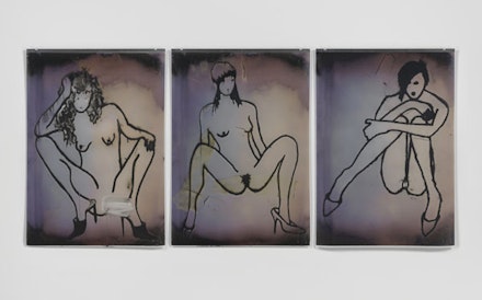 Ida Applebroog, “The Ethics of Desire” (2013).Ultrachrome ink on mylar, 3 panels, 59 3/4 × 128 3/8 ̋. Installation size (approx.). Photo by Genevieve Hanson. Courtesy of Hauser & Wirth.