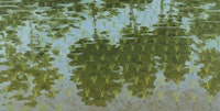 Robert Berlind, <em>Rice Paddy with Reflected Trees #2</em> (2012). Oil on linen. 72 × 144 inches.