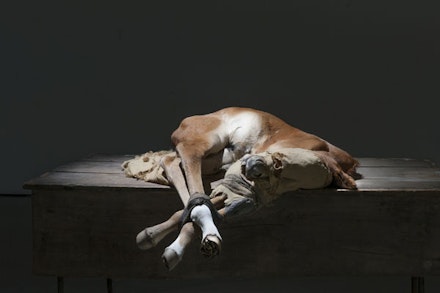 Berlinde De Bruyckere, <em>to Zurbaran</em> (2015), 2015. Horse skin, fabric, wood, iron, epoxy. 46 × 63 × 50 inches. Photo: Mirjam Devriendt. Courtesy Hauser & Wirth.