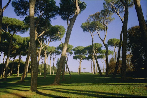 <em>Villa Doria Pamphili, Rome, WINTER</em>