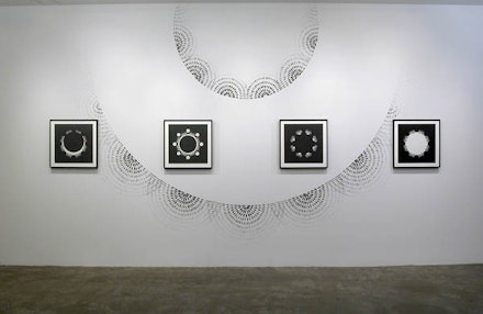 Installation view: <em>Judith Braun: Homeostasis</em>. McKenzie Fine Art, March 20 – April 24, 2016. Courtesy McKenzie Fine Art.
