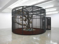 Installation view: <i>Mark Dion: The Library for the Birds of New York and Other Marvels</i>,Tanya Bonakdar Gallery, New York. 