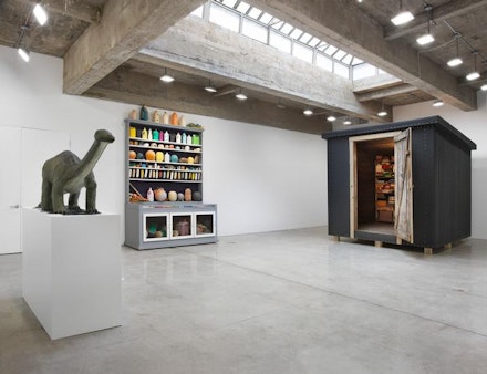 Installation view: <i>Mark Dion: The Library for the Birds of New York and Other Marvels</i>,Tanya Bonakdar Gallery, New York. 