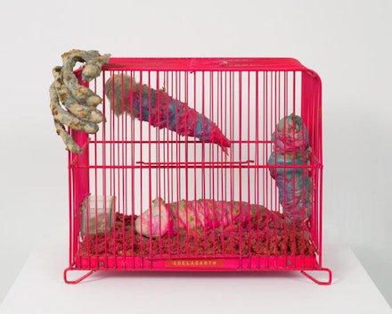 Tetsumi Kudo, <em>Coelacanth</em>, 1970. Painted cage, artificial soil, cotton, plastic, polyester, resin, pills. 10 1/4 × 12 1/4 × 6 inches. 
