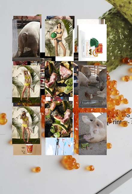 Roe Ethridge, <em>Model Prints and Pickles and Roe</em>, 2014. Dye sublimation print on aluminum. 49 1/2 x 33 inches. Courtesy the artist and Andrew Kreps Gallery, New York.
