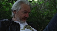 Julian Assange in <em>Risk</em>.