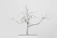 Roxy Paine. <em>After the Flood</em>, 2017
stainless steel. 41 3/4 x 55 5/8 x 25 1/2 inches. Courtesy of the artist and Paul Kasmin Gallery. Photo: Christopher Stach.
