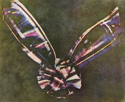 James Clerk Maxwell (engineer) and Thomas Sutton (photographer), First stable color photograph (of a tartan bow), 1861