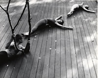 Anna Halprin, <i>The Branch, the Halprins' dance deck, Kentfield, California</i>, c. 1957: A. A. Leath, Anna Halprin, and Simone Forti. Photograph by Warner Jepson. The Estate of Warner Jepson © Warner Jepson - 2017. Jerome Robbins Dance Division, The New York Public Library for the Performing Arts.