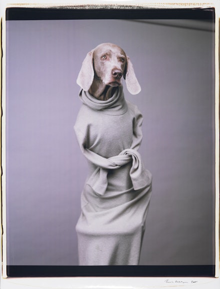William Wegman, <i>Twisted Hope</i>, 2001. Color Polaroid. 24 x 20 in. Courtesy the artist and Sperone Westwater.