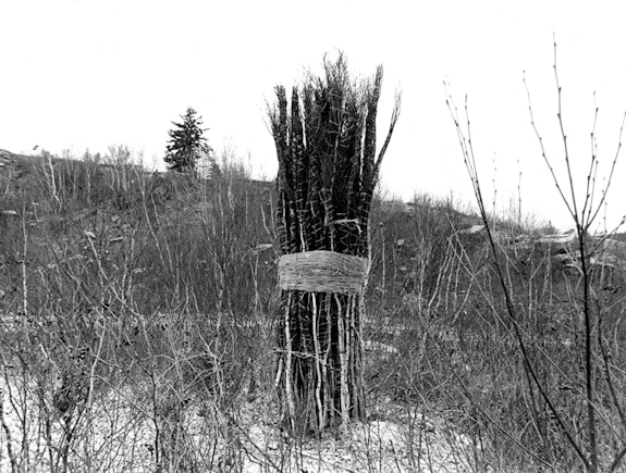 Jackie Winsor, <em>30 to 1 Bound Trees, Nova Scotia College of Art and Design, Halifax, Canada, 1971. </em>(process image). © Jackie Winsor. Courtesy Paula Cooper Gallery, New York.
