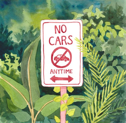 <em>No Cars,</em> Illustration by Megan Piontkowski