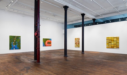Installation view of <em>Catherine Murphy: Recent Work</em>, 2017. Courtesy the artist and Peter Freeman, Inc.