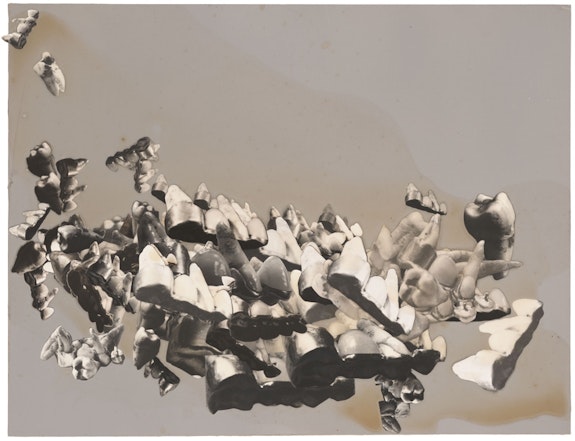Jay DeFeo, <em>Traveling Portrait (Chance Landscape)</em>, 1973. Photo collage with acrylic and glue on paperboard. 14 1/2 by 19 inches. Courtesy Mitchell-Innes & Nash.
