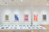 Installation view of <em>Terry Winters: Facts and Fictions</em>. The Drawing Center, New York, 2018. Photo: Martin Parsekian.