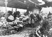 Two women in flower market, Paris, France (1925 or 1926). Frances Benjamin Johnston Collection (Library of Congress).
