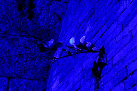 Mattia Pajè, <em>Do You Come Here Often?</em>, 2017. Thirty parakeets, steel numbers, UV and blue lights, dimensions variable. Image Courtesy the artist.
 