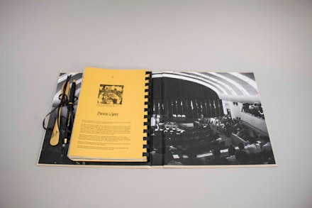 <p>Images of the artist book designed and produced by Tammy Nguyen of Passenger Pigeon Press in conjunction with The Color Curtain Project dinner, September 2018.</p>