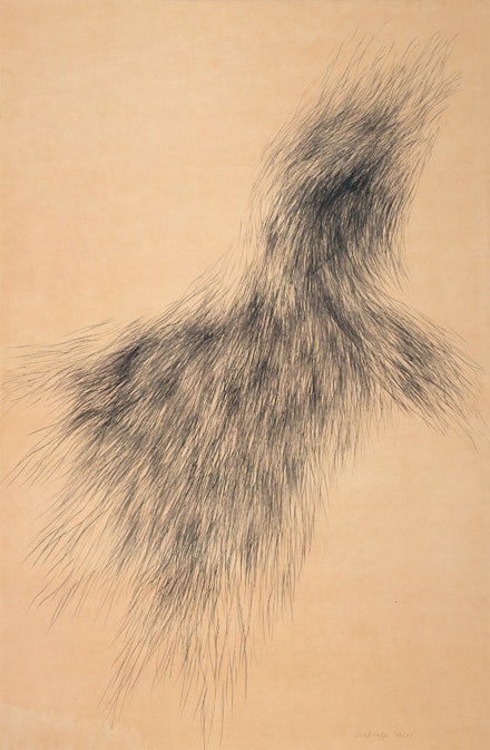 Sonia Gechtoff, <em>Untitled</em>, 1956 – 1957. Graphite on paper mounted on board. 61 x 40 inches. The Menil Collection, Houston, Gift of the artist in the memory of Walter Hopps. © Menil Foundation, Inc.