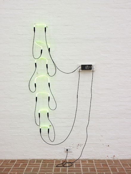 <p>Bruce Nauman, <em>Neon Templates of the Left Half of My Body Taken at Ten-Inch</em><em>Intervals,</em> 1966. Neon tubing with clear glass tubing suspension frame, 70 x 9 x 6 inches. © 2018 Bruce Nauman/Artists Rights Society (ARS), New York. Photo: Andy Romer Photography. Courtesy the Glass House, a site of the National Trust for Historic Preservation.</p>