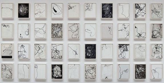 Emil Lukas, <em>the location of possible and impossible moves</em>, 2018. Ink, paper and thread under glass in painted wood frames forty parts; 13 x 10 x 2 inches each, 81 x 108 inches overall.  © Emil Lukas, courtesy Sperone Westwater, New York.