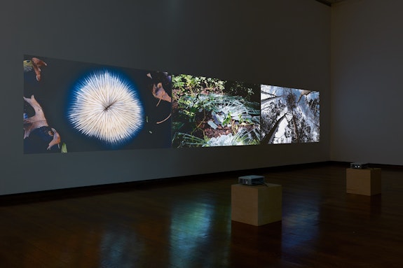 Installation view: <em>Frank Gillette: Excavations and Banquets </em>, Everson Museum of Art, 2019. Photo: Raul Valverde.