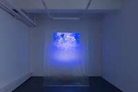 Installation view: <i>Ghost in the Ghost,</i> Tiger Strikes Asteroid, Brooklyn. Courtesy Tiger Strikes Asteroid. 