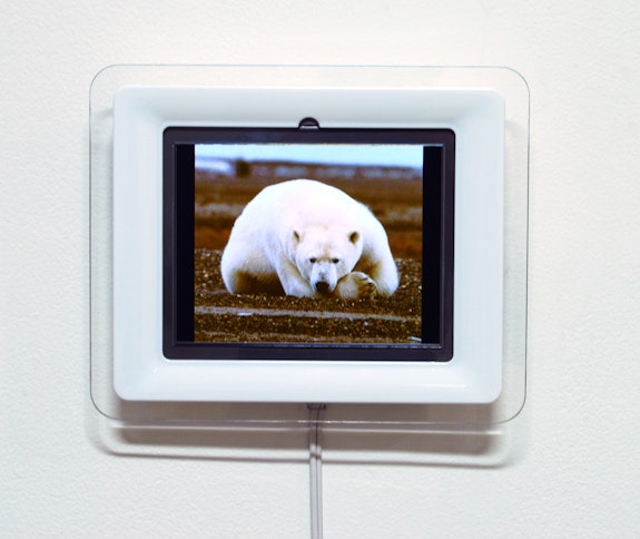 Meg Webster, <em>Bear,</em> 2008. Electronic images of polar bears gathered from the Internet. 7 3/8 × 9 ¼ × 1 3/8 in. Edition of 3, 2 APs. © Meg Webster. Courtesy Paula Cooper Gallery, New York. 