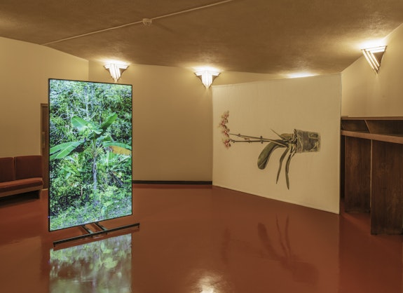 Installation view: <em>David Hartt: The Histories (Le Mancenillier)</em>, Commissioned by the Beth Sholom Synagogue Preservation Foundation, 2019. Courtesy the artist, David Nolan Gallery, Corbett vs. Dempsey, Galerie Thomas Schulte.