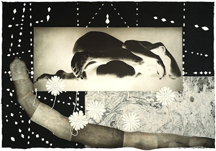 Kiki Smith, <em>Worm</em>, 1992, Intaglio with collage on Japan paper, 42 3/4 x 62 inches. Courtesy ULAE.