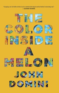 <em>The Color Inside a Melon</em></p><p>by John Domini</p><p>Dzanc, 2019</p>