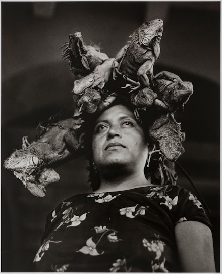 Graciela Iturbide, <span><</span>span<span>></span><span><</span><span><</span>/span<span>></span>em<span><</span>span<span>></span><span>></span><span><</span>/span<span>></span>Nuestra Señora de las Iguanas (Our Lady of the Iguanas), Juchitán<span><</span>span<span>></span><span><</span><span><</span>/span<span>></span>/em<span><</span>span<span>></span><span>></span><span><</span>/span<span>></span>, 1979. Gelatin silver print, 10 x 8 inches. Collection of Daniel Greenberg and Susan Steinhauser; © Graciela Iturbide. Courtesy Museum of Fine Arts, Boston.