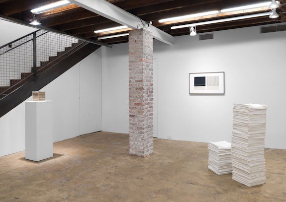 Installation view: <em>Jennifer Bolande: The Composition of Decomposition</em>, Magenta Plains, New York, 2020. Courtesy Magenta Plains.