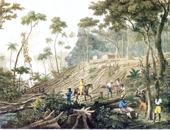 Johann Moritz Rugendas, <em>Limpeza de uma Floresta</em>, c.1820-25.