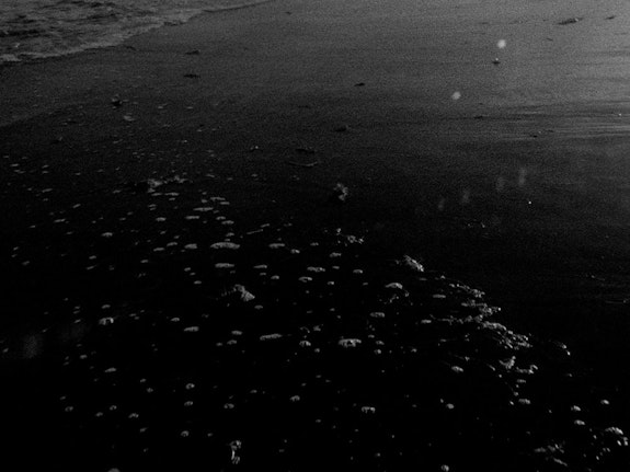 Beatriz Santiago Muñoz, <em>Black Beach/<wbr>Horse/<wbr>Camp/<wbr>The Dead/<wbr>Forces</em>, 2016. 16mm, black and white, silent, 8 minutes. Courtesy the artist.