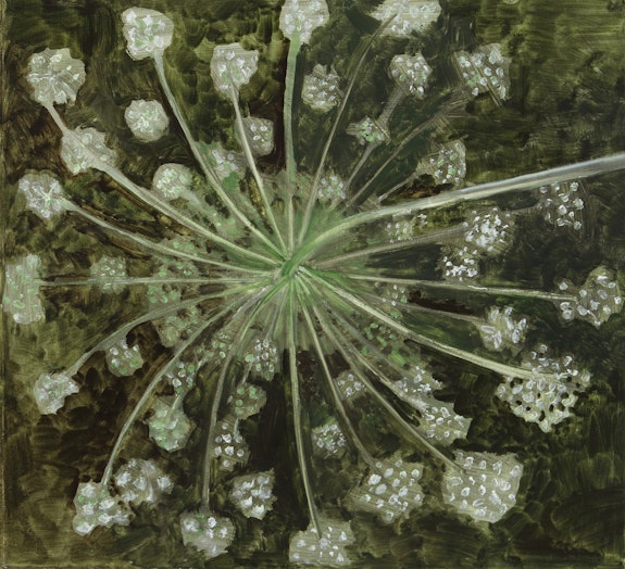 Lois Dodd, <em>Queen Anne's Lace, Backview of Head</em>, 2018. Oil on Masonite, 11 x 12 inches. Courtesy Alexandre Gallery.