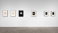 Installation view: BRUCE CONNER & JAY DEFEO: (“we are not what we seem”) Paula Cooper Gallery, New York, 2021. Photo: Steven Probert. Courtesy Paula Cooper Gallery, New York.