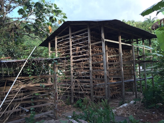 Cattail drying rack, Taller Guadalupe Villalobos, Cordillera, Ciales, Puerto Rico, 2015.