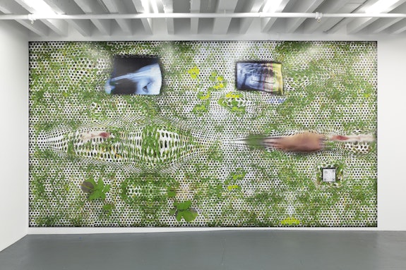 Tishan Hsu, <em>Grass-Screen-Skin: New York</em>, 2021. Inkjet on mylar, with QR code linked to video, 2:10 minutes, 122 1/2 x 229 3/4 inches, installation dimensions variable. Courtesy Miguel Abreu Gallery.