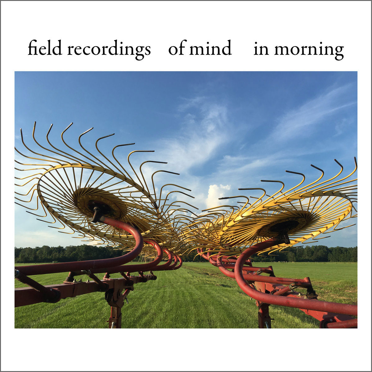 Returning Hank Lazers field recordings of mind in morning