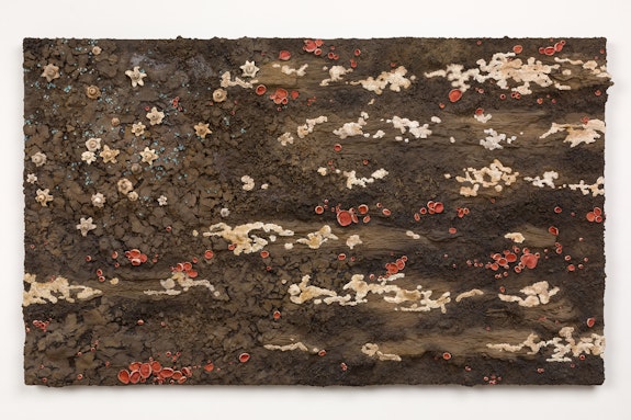 Roxy Paine, <em>Fungal Flag no. 2,</em> 2021. Earth pigment, wood, epoxy, urethane, stainless steel, lacquer, oil paint, 54 1/2 x 90 1/2 x 5 1/2 inches. Courtesy the artist and Kasmin, New York.