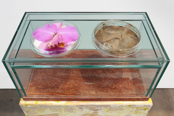 ​​Liz Larner, <em>Orchid, Buttermilk, Penny</em>, 1987. Orchid, buttermilk, penny, glass. 43 7∕16 x 17 1⁄2 x 10 1∕8 inches. © Liz Larner. Photo: Cathy Carver.