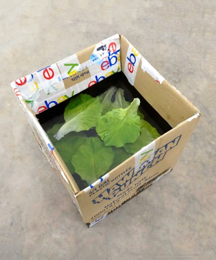 Andrea McGinty, <em>Hawaiian Punch</em>, 2021. Found cardboard box, artificial lettuce, resin, 12 x 11.5 x 11.5 inches. © Andrea McGinty, courtesy SUNNY NY, New York.