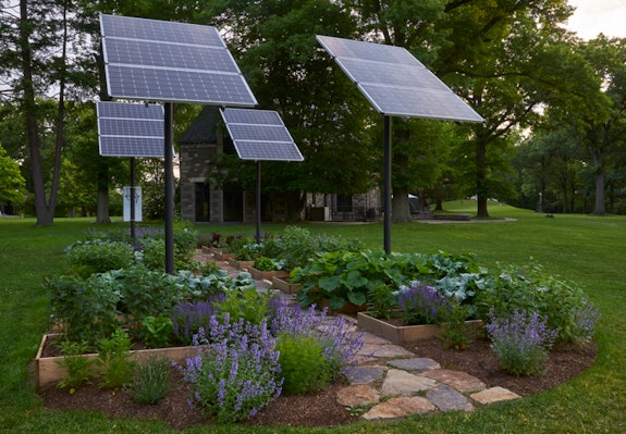 Meg Webster, <em>Growing under Solar Panels</em>, 2018. Site-specific installation of solar panels with self-watering raised growing beds, pond, and planting of nectar plants for bees. 18 x 40 ft. © Meg Webster. Courtesy Paula Cooper Gallery, New York