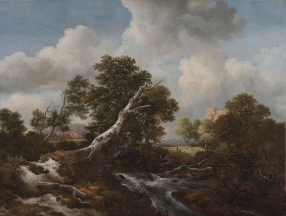 Jacob van Ruisdael, <em>Low Waterfall in a Wooded Landscape with a Dead Beech Tree</em>, mid to late 1660s. Oil on canvas, 39 x 51 1/2 inches. Cleveland Museum of Art.